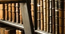 Small, Quiet Library: A Simple Library Small, Quiet Library: A Simple Library is an immersive cape designed to evoke the