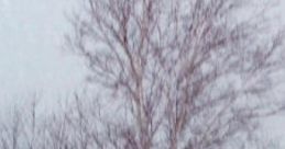 Ethan Frome: Starkfield, Massachusetts Ethan Frome is a fictional character from Edith Wharton's 1911 novel of the same name,