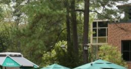 On The Terrace: Outdoor Study Space On College Campus On The Terrace is an outdoor study space located on a college campus,