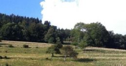 Espace Mittelland Meadow: A Peaceful Yet Melancholic Ambiance Espace Mittelland Meadow offers a serene ambiance inspired by