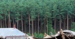 Toldar Camp: Just A Normal Day At Bulwark Ridge Toldar Camp, situated next to the Great Wurds and the Lifeless Rill, serves