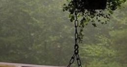 Stormy Front Porch "Stormy Front Porch" is an atmospheric cape capturing the essence of a porch during a rainstorm. The audio