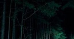 Louisiana Highway: Nighttime Drive To New Orleans Experience the atmospheric charm of a nighttime drive along Louisiana