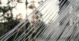 Hammock In The Backyard: Quiet Restful In The Country A hammock in the backyard offers a peaceful retreat for relaxation and