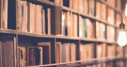 Inside A Library Inside a library, the atmosphere is a blend of focused energy and gentle background . You can hear the