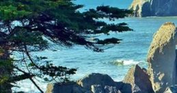Sleeping By The Sea: Cabin By The Sea "Sleeping By The Sea: Cabin By The Sea" offers an immersive audio experience that
