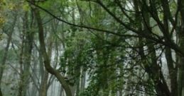 Refuge In The Forest: Shelter In A Unsuspecting Place. "Refuge In The Forest: Shelter In A Unsuspecting Place" is an