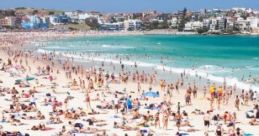 A Day At The Beach "A Day at the Beach" captures the quintessential seaside experience, featuring that evoke the relaxing