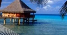 The Islands: Home Island Home Island is a fictional setting featured in various creative works, characterized by its