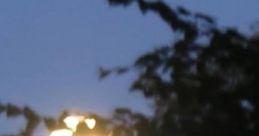 Window Open: Night On The Lake "Window Open: Night On The Lake" is an immersive audio experience designed to evoke the