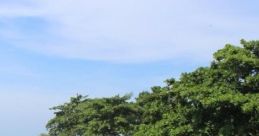 Temple Dock cape: Sit By The Temple Dock In Bali Temple Dock Cape in Bali offers a serene cape perfect for relaxation and