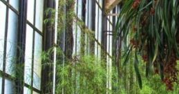 Private Palace Garden: The Ruby Lord's Garden The Ruby Lord's Garden is a tranquil private garden belonging to a local