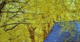 Prom's Orchard House: Prom's Place Prom's Orchard House, also known as Prom's Place, is a secluded cottage located on the