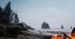 Moira And Katie Read Fireside: The Assent Series - Vol 1 "Moira And Katie Read Fireside: The Assent Series - Vol 1" is a