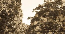 Cattlebridge: To Get Home Cattlebridge is a picturesque wooden house area located near a city, characterized by its