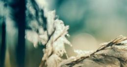 Stagfall: Kingsmaker Stagfall: Kingsmaker is an immersive audio experience designed to enhance the atmosphere of the