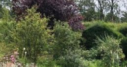 Fat Unicorn: Garden In The Countryside Fat Unicorn: Garden In The Countryside is an immersive cape designed to transport