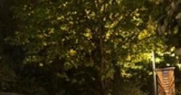 Bus Stop (at Night): "Bus Stop (at Night)" refers to an atmospheric audio recording capturing the of a bus stop during