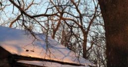 Quiet Snowscape: Hushed Northern Woods "Quiet Snowscape: Hushed Northern Woods" is a serene audio experience that captures