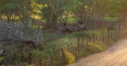 Travelling On The Road: Travelling On The Road, Possibility Of Rain And Thunder "Travelling On The Road: Travelling On The