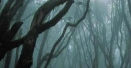 Lost In The Darkness And Trees: Night In Deep Forest "Lost In The Darkness And Trees: Night In Deep Forest" is an