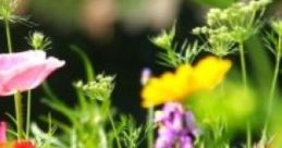 Quiet Meadow Quiet Meadow is an immersive auditory experience designed to promote relaxation and mindfulness. Users can