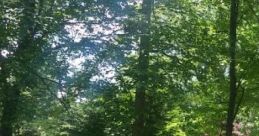 Windy Spring Day "Windy Spring Day" captures the essence of a lively outdoor experience with like rustling leaves, distant