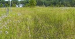Relaxing In The Country: A Small Getaway Near The Pond While A Small Breeze Calms You. Experience the tranquility of