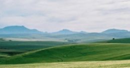 Backyard: Calm Of The Countryside "Backyard: Calm Of The Countryside" is an immersive audio experience designed to evoke