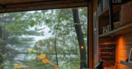 Light Rain In The Forest: Light Rain In The Forest "Light Rain In The Forest" is an immersive cape designed to enhance