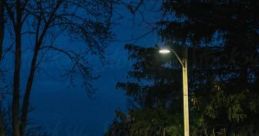Summer Nights On Quiet Street: The Of Summer Nights Outside Your Window On A City Side Street "Summer Nights On Quiet
