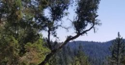 Breezy Meadow: A Warm Day In A Meadow "Breezy Meadow: A Warm Day In A Meadow" captures the serene experience of enjoying