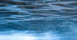 Techno Oracle: Under The Ocean's Surface, A Long-forgotten Giver Of Wisdom Waits For You "Techno Oracle: Under The Ocean's