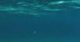 Under Water Meditation Underwater Meditation is a unique audio experience designed for relaxation and mindfulness.