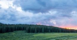 Field Of Tranquility: Calm Atmospheres In Open Countryside Field Of Tranquility offers an immersive experience in serene