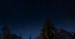 Winternight: Camping In A Winter Forest "Winternight: Camping In A Winter Forest" is an immersive audio experience that