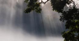 Voice Of Many Waters Revelation 14:1-3 ​1 And I looked, and, lo, a Lamb stood on the mount Sion, and with him an hundred