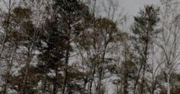 Haunted: You Are Alone In A Cabin-- Aren't You? "Haunted: You Are Alone In A Cabin-- Aren't You?" is a unique immersive audio