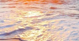 Shore