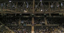 Arena
