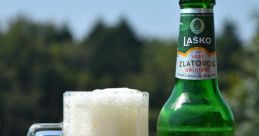 Pivo
