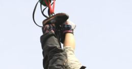 Bungee