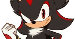 Shadow Boom Shadow the Hedgehog is a character in Sonic Boom. He is an anthropomorphic black hedgehog and a rival of Sonic