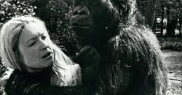 Koko