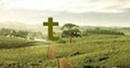 Scripture Meditation: PHIL:14: Scripture Meditation - Philippians 3:14,13 Sprinting Towards The Goal Meditating on