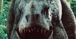 Rex