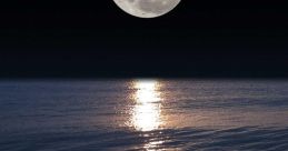 In The Moonlight