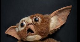 Gizmo