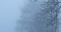 Foggy