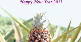 New 2013